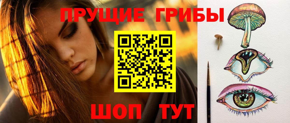 Кириши  Псилоцибиновые грибы прущие грибы  Вход с VPN 