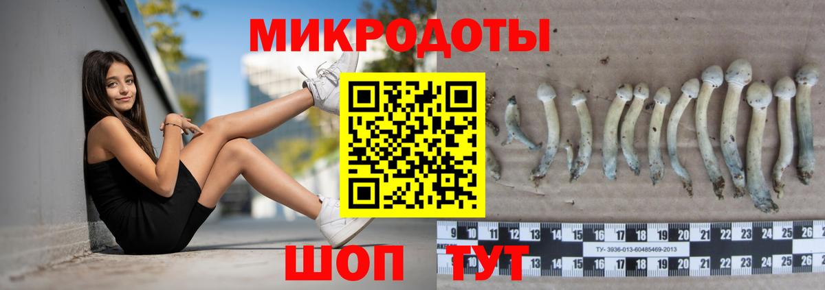 Галлюциногенные грибы мицелий Кириши